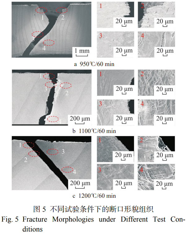 1767867048544524.png 截圖20260108180051.png