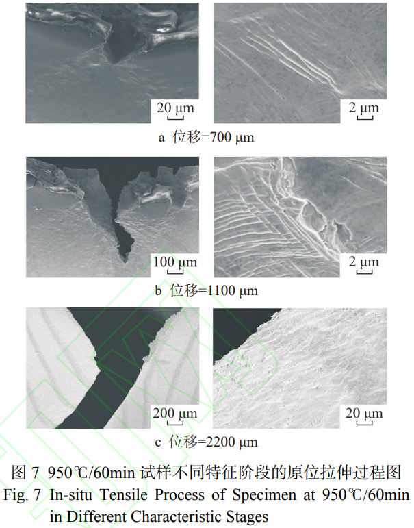 1767867087452651.png 截圖20260108180156.png