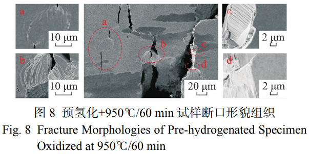 1767867096775346.png 截圖20260108180210.png