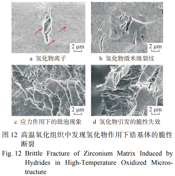 1767867130124404.png 截圖20260108180306.png