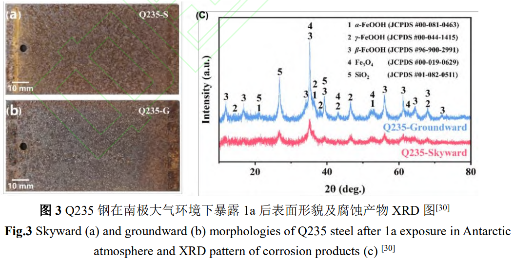 1767944721900052.png 截圖20260109113202.png