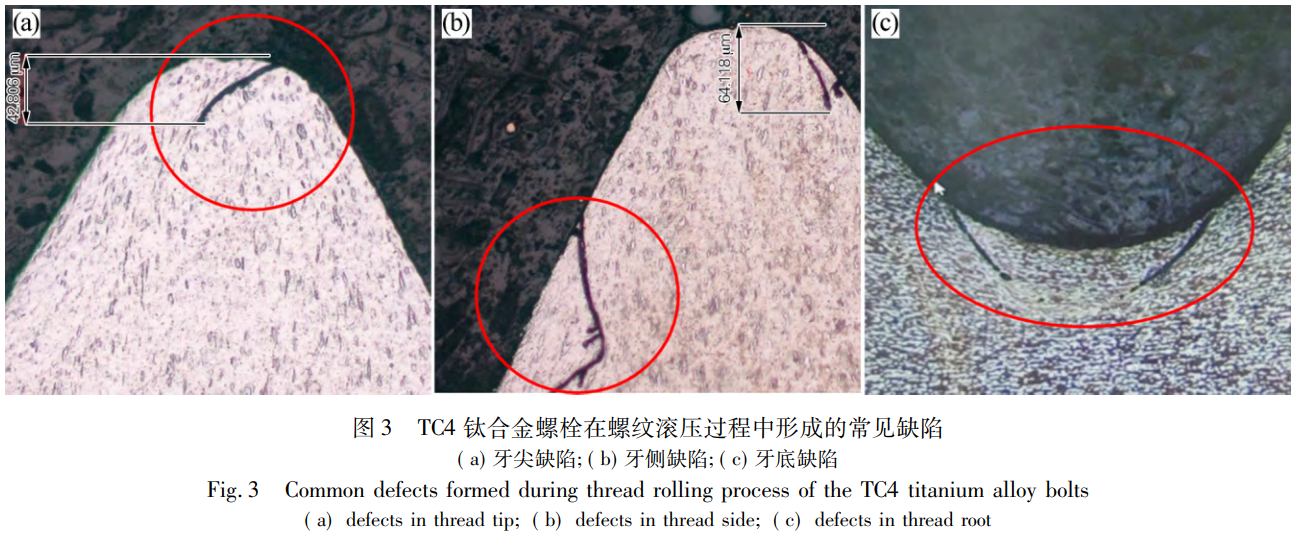 1769000283627489.png 3.png