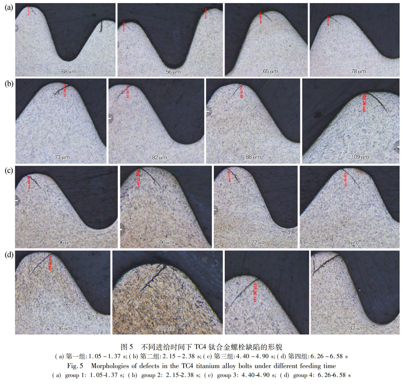 1769000377767686.jpg 5.jpg