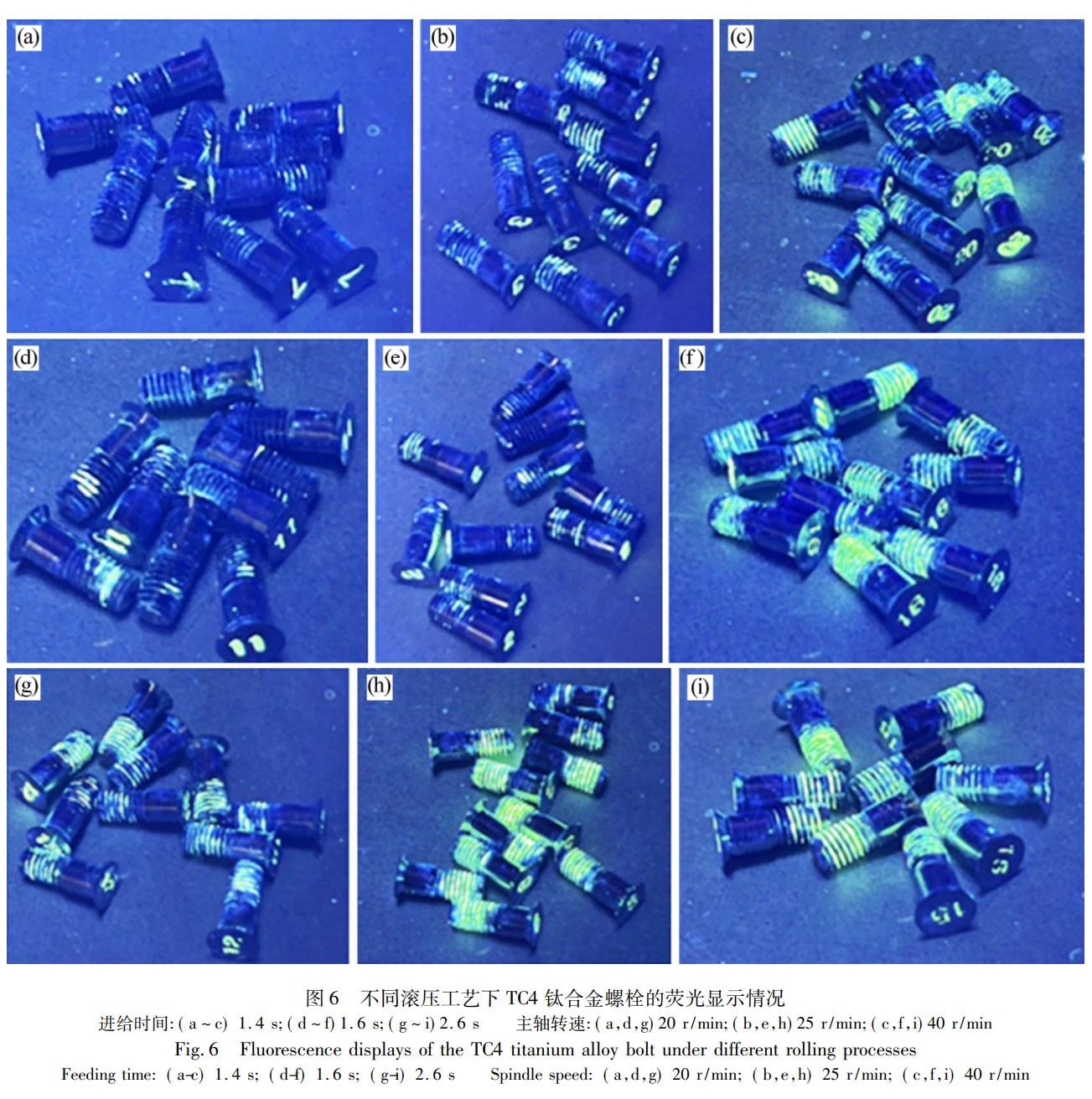 1769000395137082.jpg 6.jpg