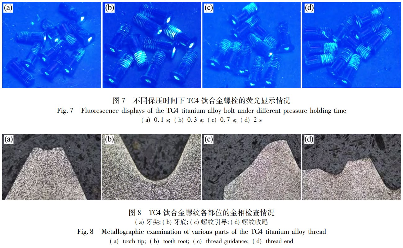 1769000403114684.jpg 7-8.jpg