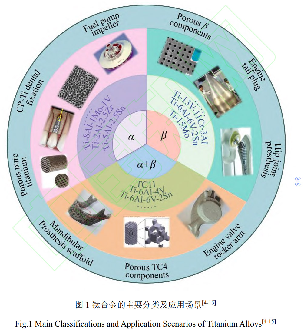 1769343858225056.jpg 1.jpg