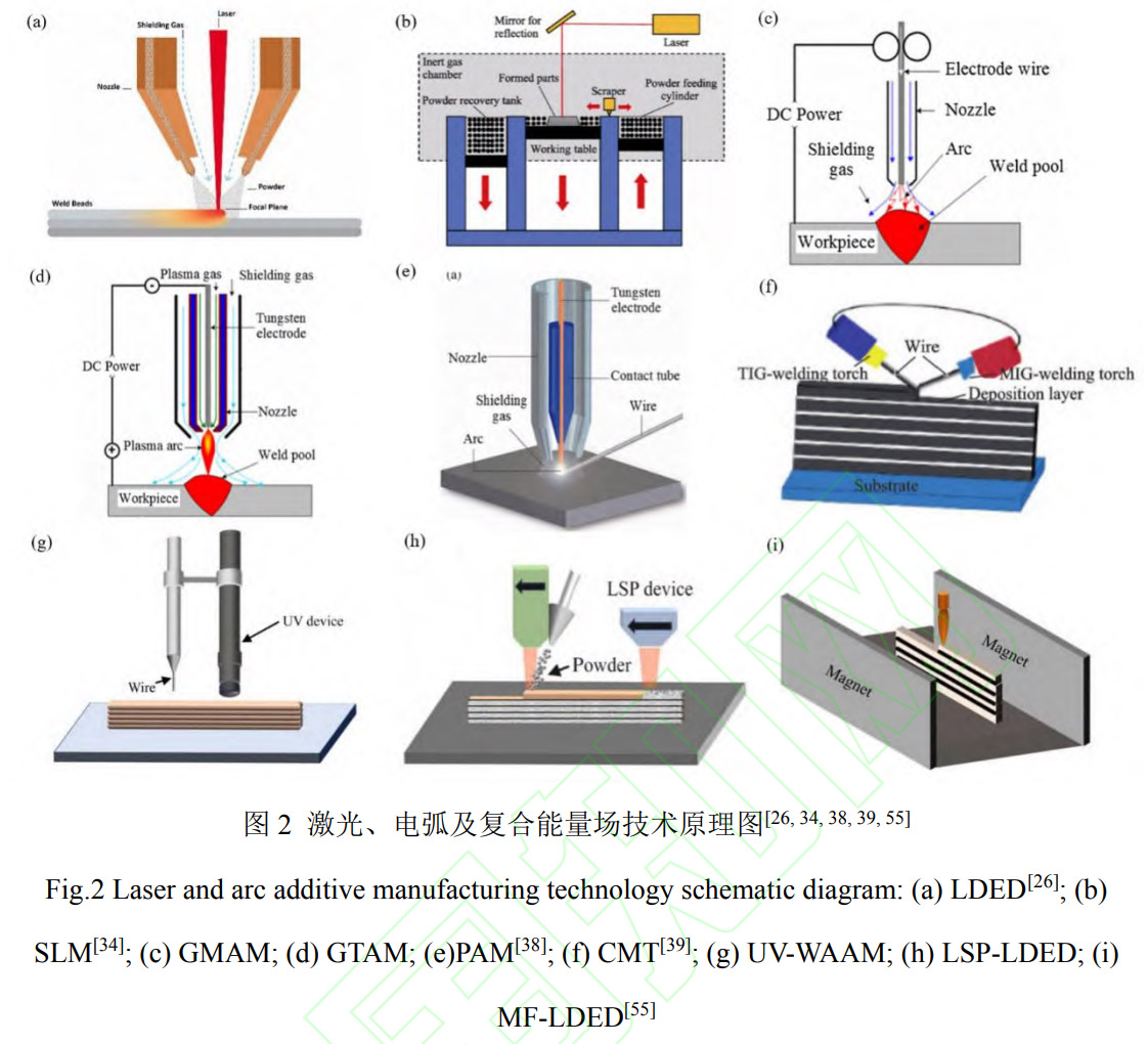 1769343869137297.jpg 2.jpg