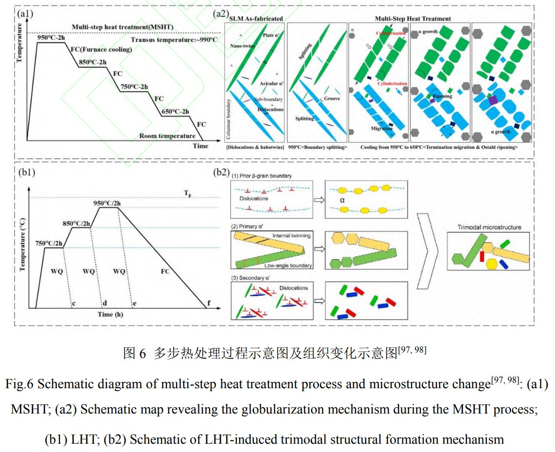 1769344223892866.jpg 6.jpg