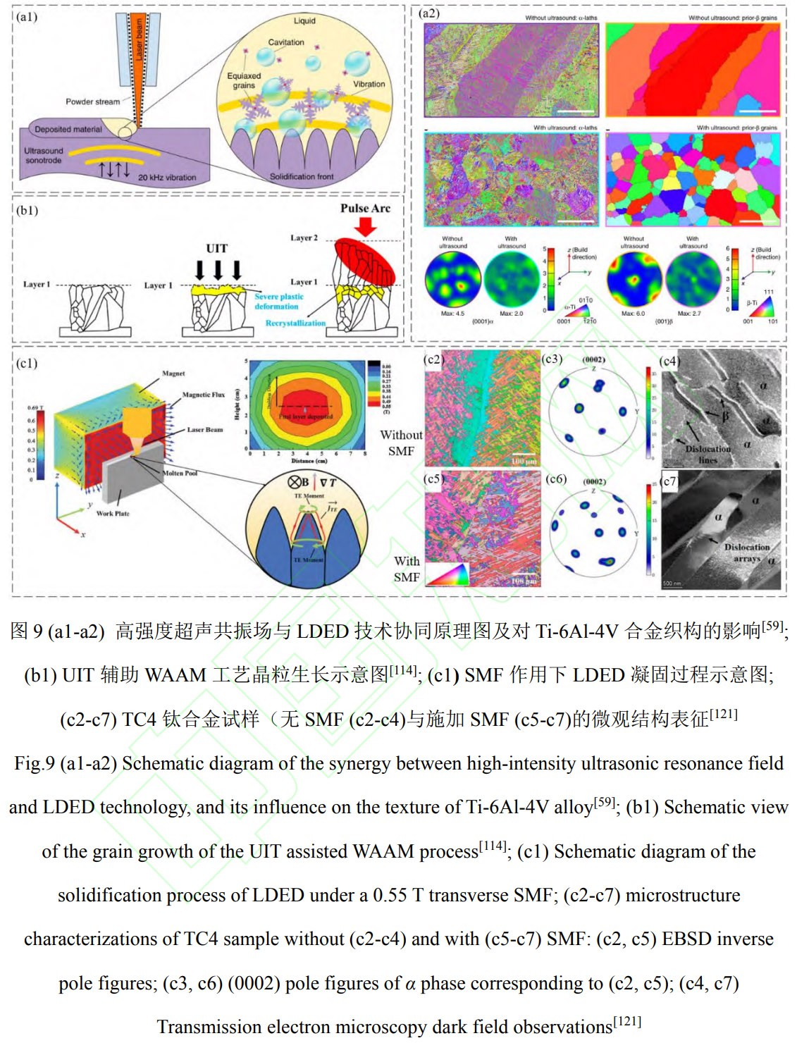 1769344317590094.jpg 9.jpg