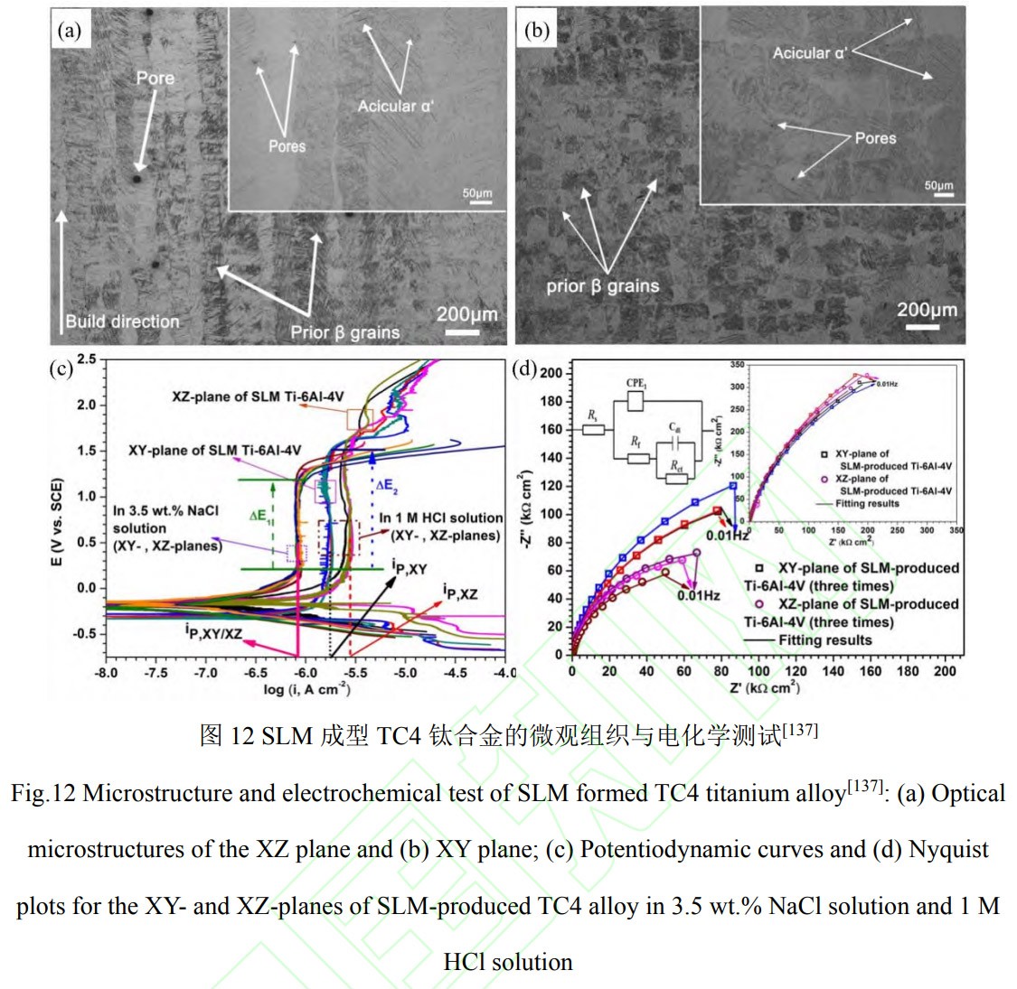 1769344598227121.jpg 12.jpg